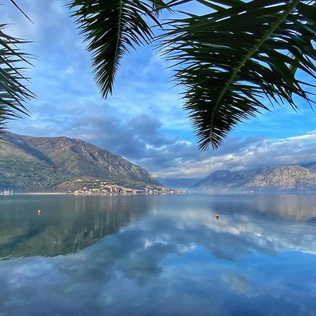 Sunny Bay Apartments Kotor Exterior foto